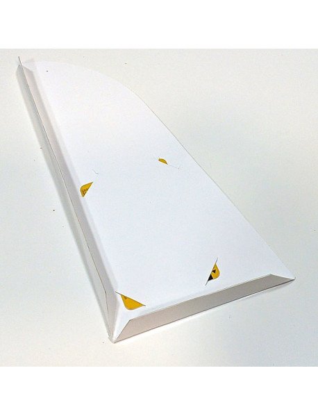 Bolsa 205X100mm para capa em cartolina com ranhuras para cartão