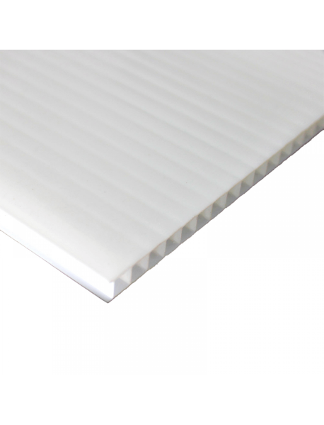 Placa PP Alveolar 30x42cm