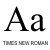 Times New Roman